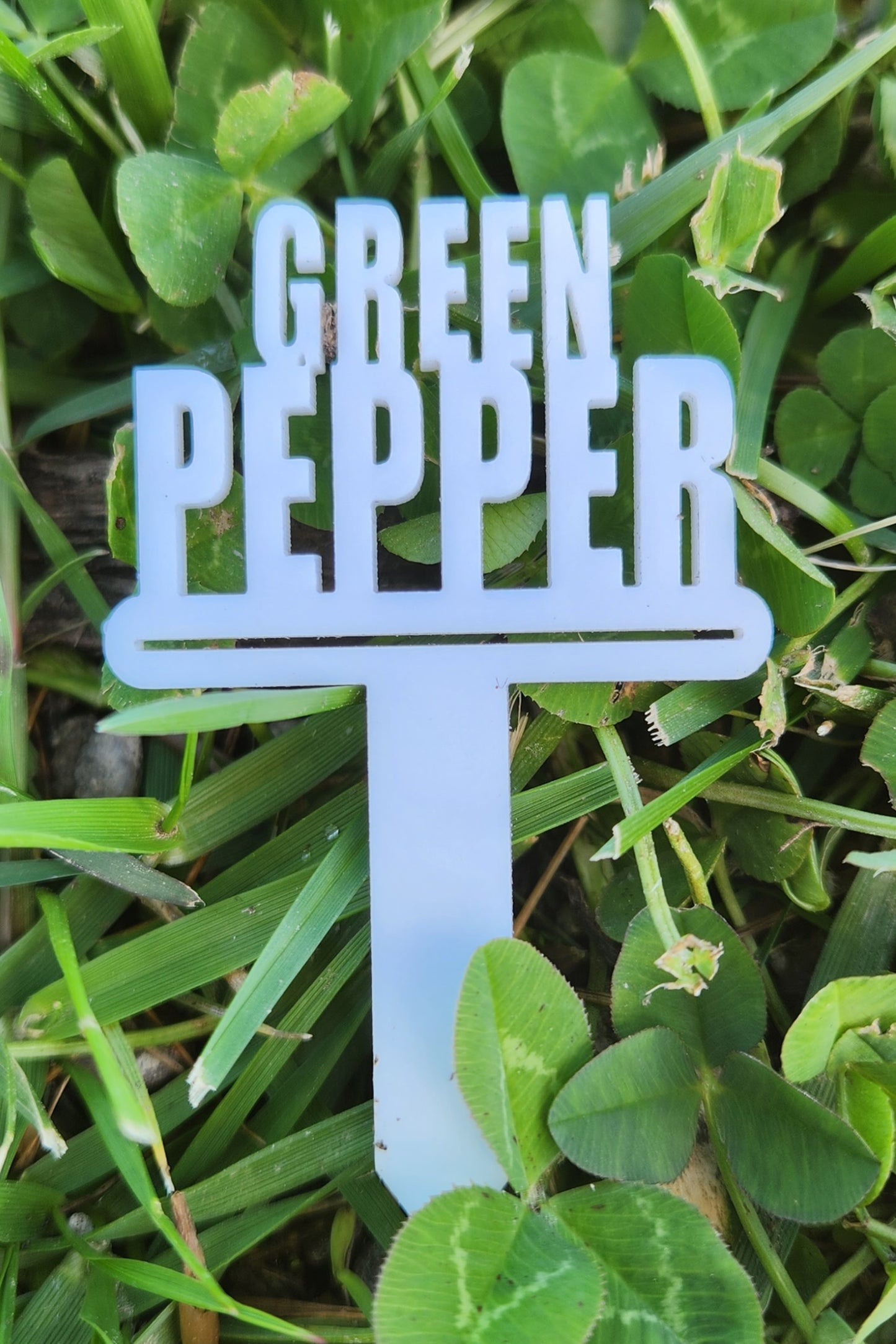 Acrylic Plant Markers