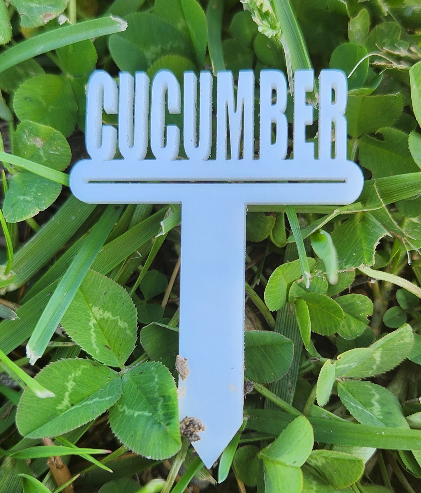 Acrylic Plant Markers