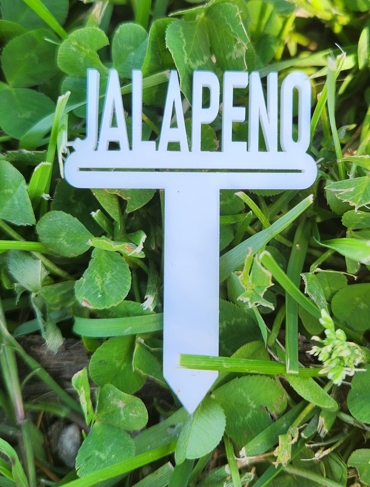 Acrylic Plant Markers